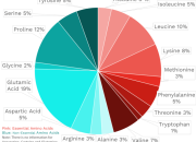 Nutrition of Swiss Cheese A Tasty Deep Dive