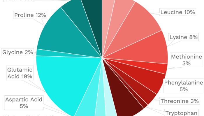 Nutrition of Swiss Cheese A Tasty Deep Dive